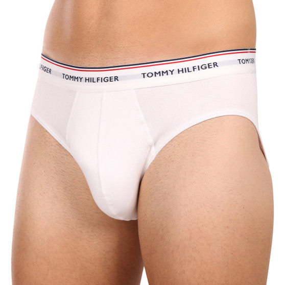 3PACK Trusser til mænd Tommy Hilfiger flerfarvet (1U87903766 004)