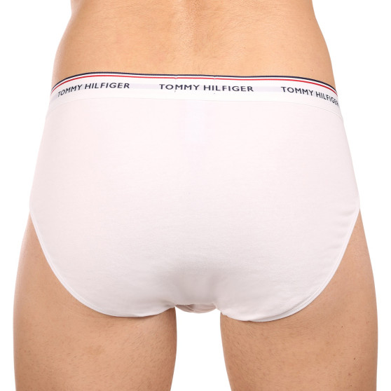 3PACK Trusser til mænd Tommy Hilfiger flerfarvet (1U87903766 004)