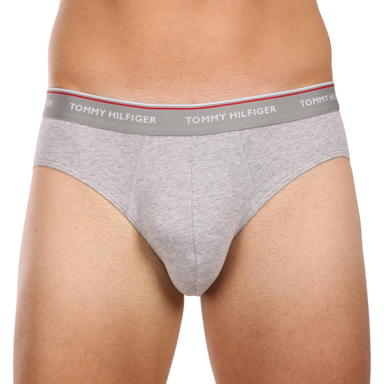 3PACK Trusser til mænd Tommy Hilfiger flerfarvet (1U87903766 004)