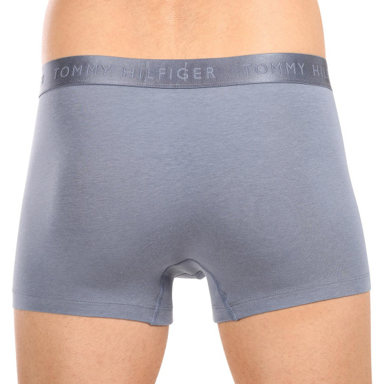 3PACK Boxershorts til mænd Tommy Hilfiger flerfarvet (UM0UM02760 0Y3)