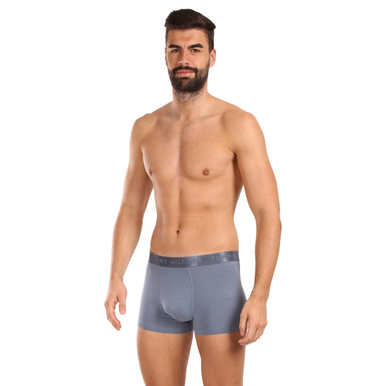 3PACK Boxershorts til mænd Tommy Hilfiger flerfarvet (UM0UM02760 0Y3)