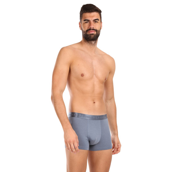 3PACK Boxershorts til mænd Tommy Hilfiger flerfarvet (UM0UM02760 0Y3)