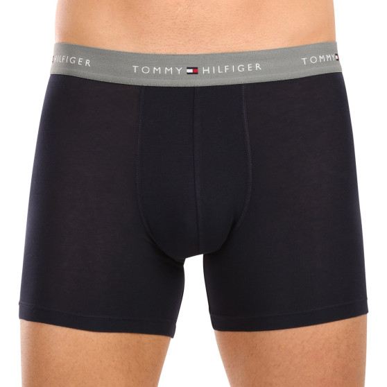 3PACK Boxershorts til mænd Tommy Hilfiger mørkeblå (UM0UM02765 0VH)