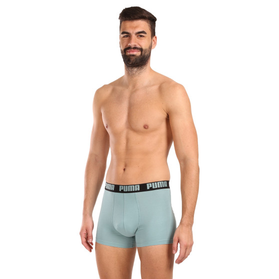 2PACK Boxershorts til mænd Puma flerfarvet (521015001 061)