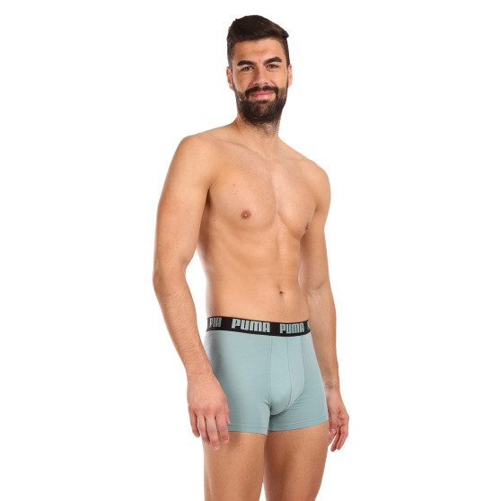 2PACK Boxershorts til mænd Puma flerfarvet (521015001 061)