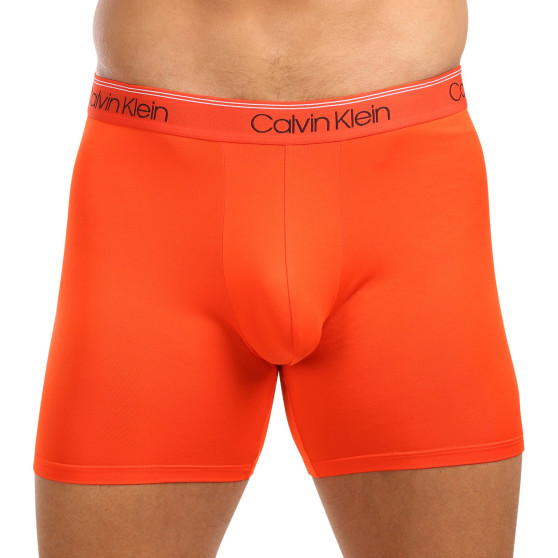 3PACK Boxershorts til mænd Calvin Klein flerfarvet (NB2570A-MGY)