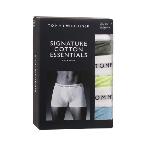 3PACK Boxershorts til mænd Tommy Hilfiger flerfarvet (UM0UM02761 0T9)