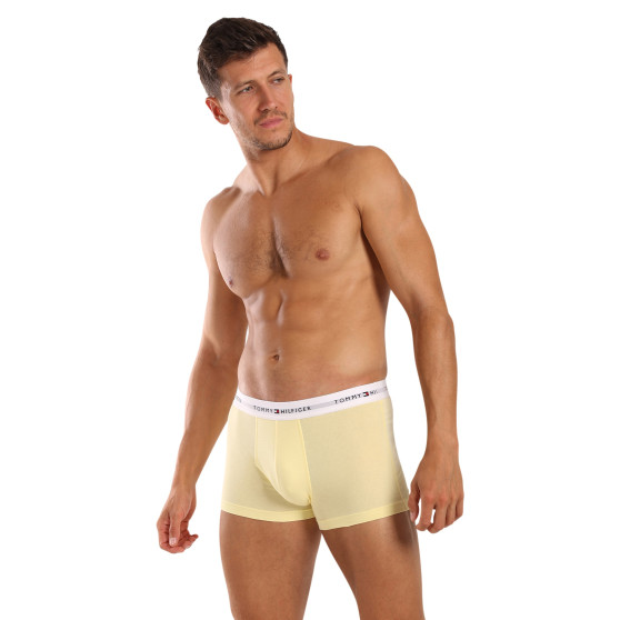 3PACK Boxershorts til mænd Tommy Hilfiger flerfarvet (UM0UM02761 0XM)