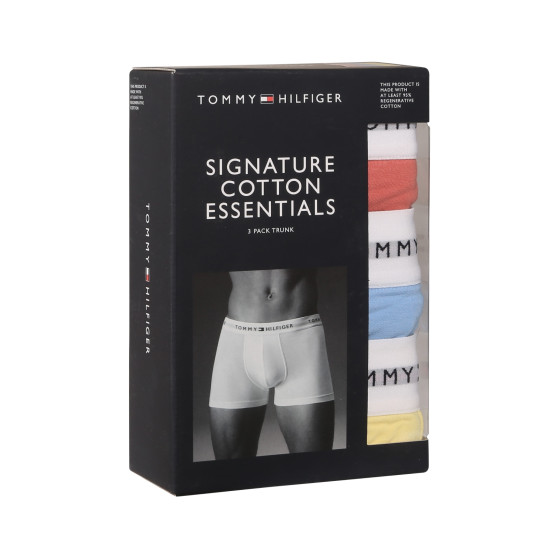 3PACK Boxershorts til mænd Tommy Hilfiger flerfarvet (UM0UM02761 0XM)