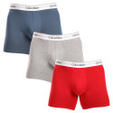 3PACK Boxershorts til mænd Calvin Klein flerfarvet (NB2381A-N2I)