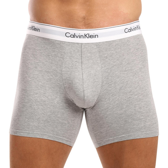 3PACK Boxershorts til mænd Calvin Klein flerfarvet (NB2381A-N2I)