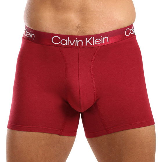 3PACK Boxershorts til mænd Calvin Klein flerfarvet (NB2971A-MCI)