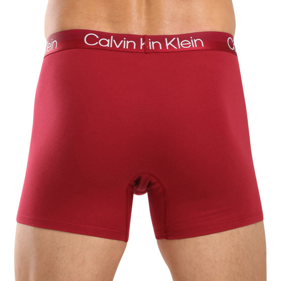 3PACK Boxershorts til mænd Calvin Klein flerfarvet (NB2971A-MCI)