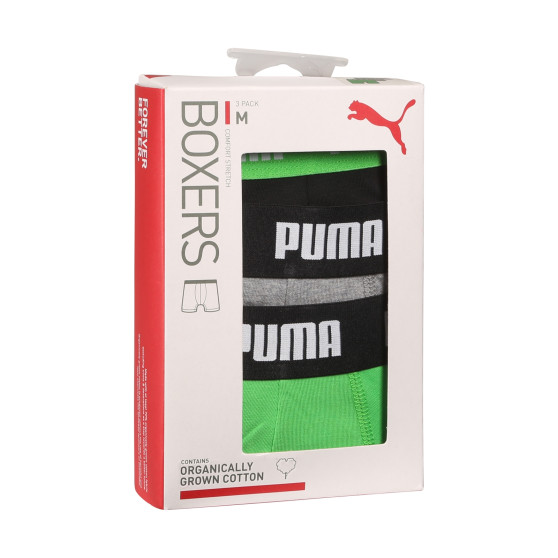 3PACK Boxershorts til mænd Puma flerfarvet (701226820 008)