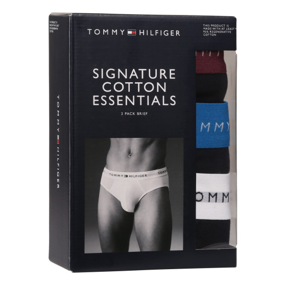 3PACK Trusser til mænd Tommy Hilfiger mørkeblå (UM0UM02904 0VZ)