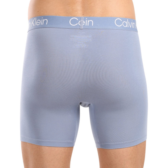 3PACK Boxershorts til mænd Calvin Klein flerfarvet (NB3130A-N2M)