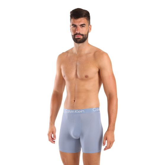 3PACK Boxershorts til mænd Calvin Klein flerfarvet (NB3130A-N2M)