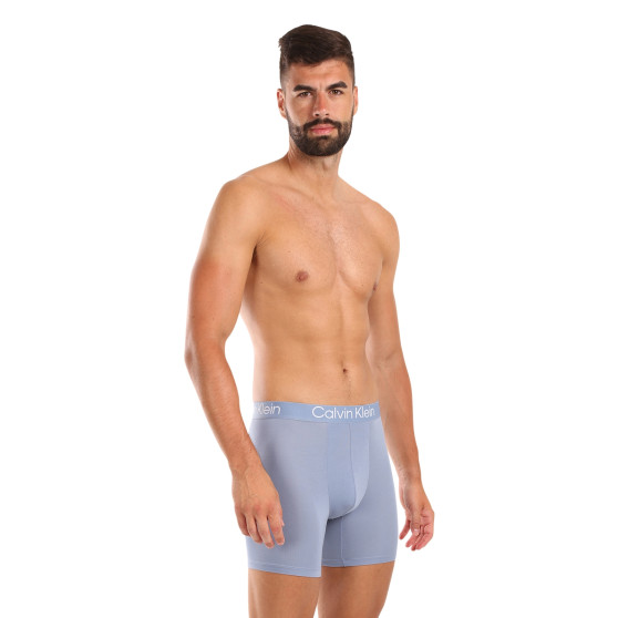 3PACK Boxershorts til mænd Calvin Klein flerfarvet (NB3130A-N2M)