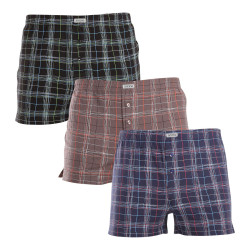 3PACK Boxershorts til mænd Andrie flerfarvet (PS 5633)