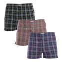 3PACK Boxershorts til mænd Andrie flerfarvet (PS 5806)