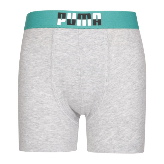 2PACK Boxershorts til drenge Puma flerfarvet (701225791 001)