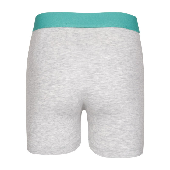 2PACK Boxershorts til drenge Puma flerfarvet (701225791 001)