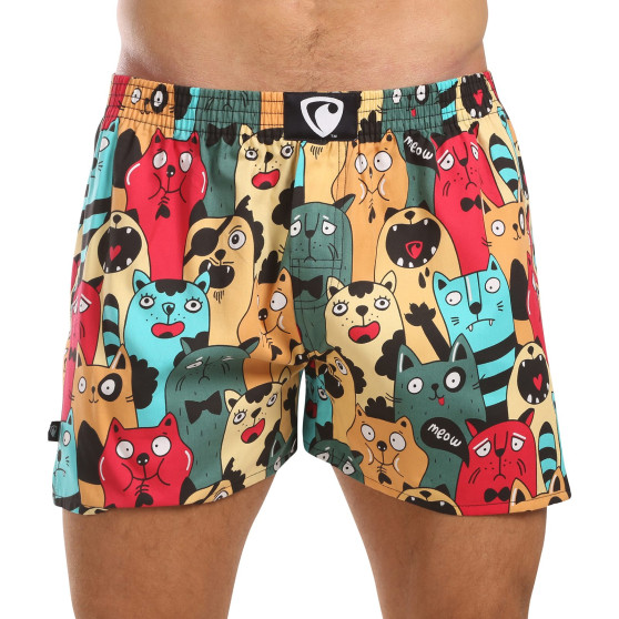 Represent Herreshorts eksklusive Ali Cat Fans (R4M-BOX-0606)