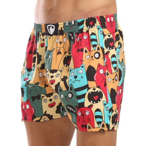 Represent Herreshorts eksklusive Ali Cat Fans (R4M-BOX-0606)