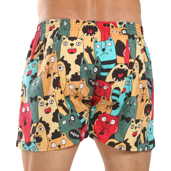 Represent Herreshorts eksklusive Ali Cat Fans (R4M-BOX-0606)