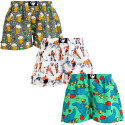 3PACK Boxershorts til mænd Represent exclusive Ali (R4M-BOX-06081016)