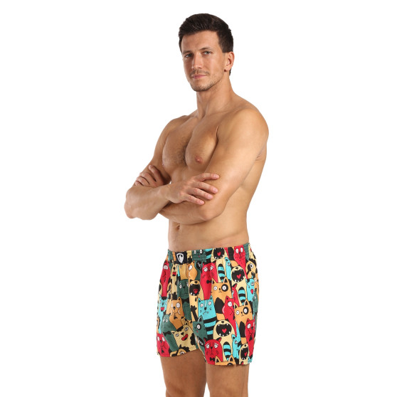 Represent Herreshorts eksklusive Ali Cat Fans (R4M-BOX-0606)