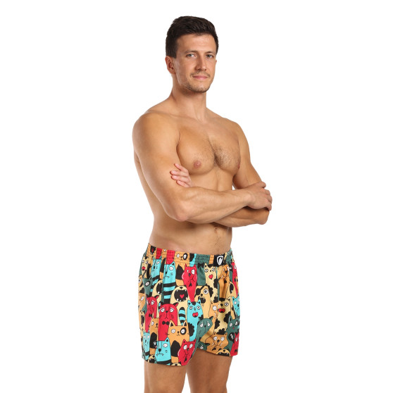 Represent Herreshorts eksklusive Ali Cat Fans (R4M-BOX-0606)