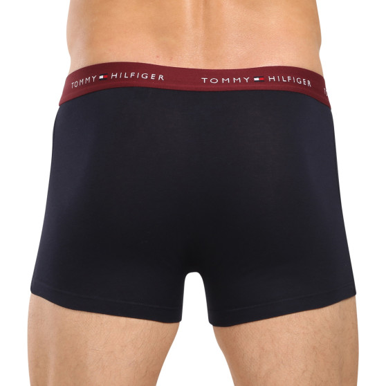 3PACK Boxershorts til mænd Tommy Hilfiger mørkeblå (UM0UM02763 05K)