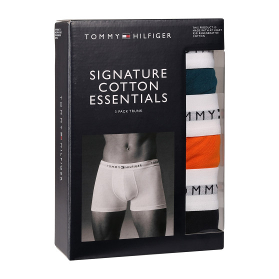 3PACK Boxershorts til mænd Tommy Hilfiger flerfarvet (UM0UM02761 0VH)