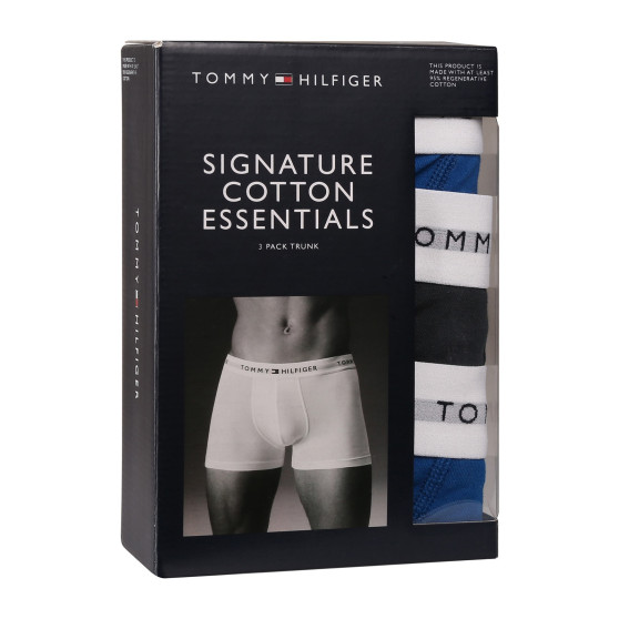 3PACK Boxershorts til mænd Tommy Hilfiger flerfarvet (UM0UM02768 0UG)