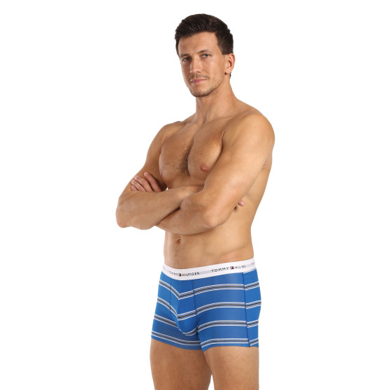 3PACK Boxershorts til mænd Tommy Hilfiger flerfarvet (UM0UM02768 0UG)