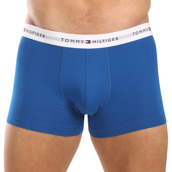 3PACK Boxershorts til mænd Tommy Hilfiger flerfarvet (UM0UM02768 0UG)