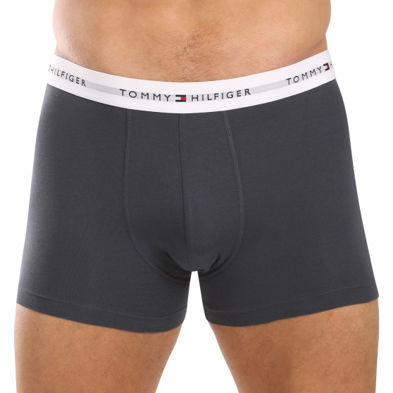 3PACK Boxershorts til mænd Tommy Hilfiger flerfarvet (UM0UM02768 0UG)