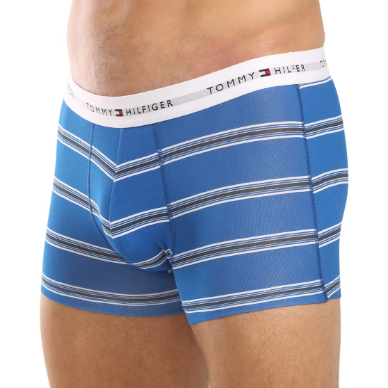 3PACK Boxershorts til mænd Tommy Hilfiger flerfarvet (UM0UM02768 0UG)