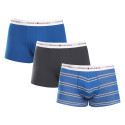 3PACK Boxershorts til mænd Tommy Hilfiger flerfarvet (UM0UM02768 0UG)