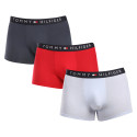 3PACK Boxershorts til mænd Tommy Hilfiger flerfarvet (UM0UM03180 0R1)