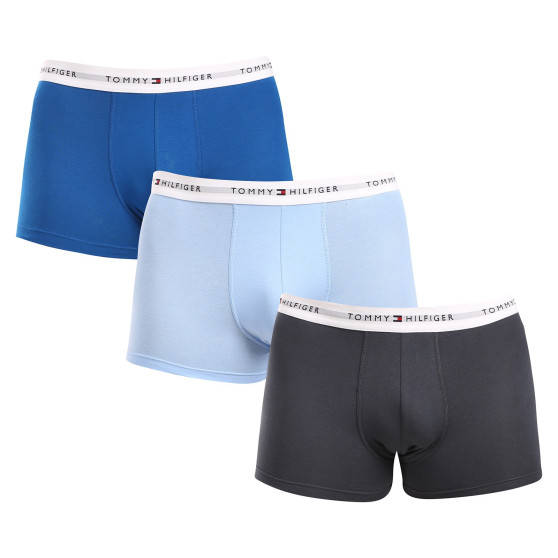 3PACK Boxershorts til mænd Tommy Hilfiger flerfarvet (UM0UM02761 0UE)