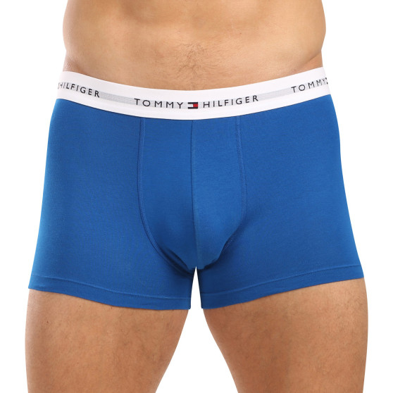 3PACK Boxershorts til mænd Tommy Hilfiger flerfarvet (UM0UM02761 0UE)