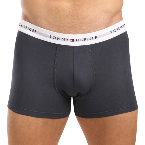 3PACK Boxershorts til mænd Tommy Hilfiger flerfarvet (UM0UM02761 0UE)