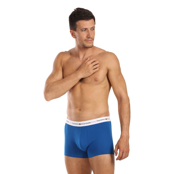 3PACK Boxershorts til mænd Tommy Hilfiger flerfarvet (UM0UM02761 0UE)