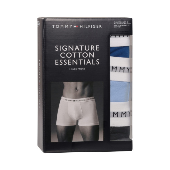 3PACK Boxershorts til mænd Tommy Hilfiger flerfarvet (UM0UM02761 0UE)