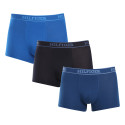 3PACK Boxershorts til mænd Tommy Hilfiger flerfarvet (UM0UM03413 0XW)