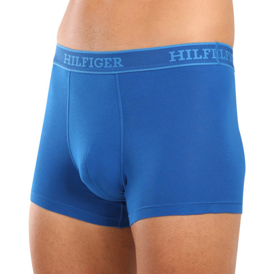 3PACK Boxershorts til mænd Tommy Hilfiger flerfarvet (UM0UM03413 0XW)