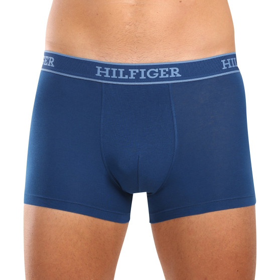 3PACK Boxershorts til mænd Tommy Hilfiger flerfarvet (UM0UM03413 0XW)