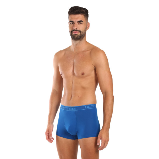 3PACK Boxershorts til mænd Tommy Hilfiger flerfarvet (UM0UM03413 0XW)